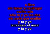 Luis Miguel - Directo Al Corazon (Karaoke)