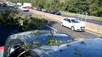 Adobe Spark Video (2)