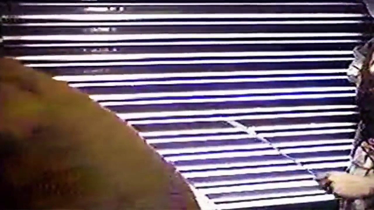 Les 10 Vidéos Les Plus FLIPPANTES de YouTube - Lama Faché