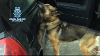 Policía Nacional interviene 104 kilos de speed y desmantela un laboratorio en Zaragoza