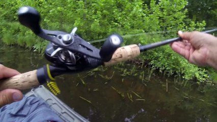 Best Day EVER Bass Fishing a Farm Pond!!! TOPWATER (WHOPPER PLOPPER)PART 1