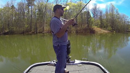 Spring Bass Fishing with a Carolina Rig (SNAGGED A CRAPPIE!!!)