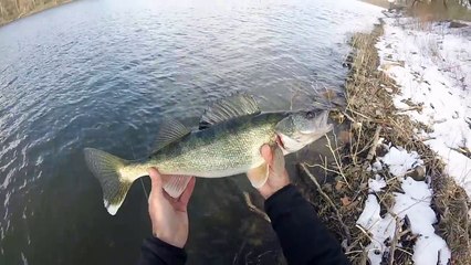 Catch N Cook Walleye  DORITO'S VS CAPT'N CRUNCH