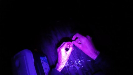 Catching Your Own Bait for Slob Striped Bass, Early Spring 2017