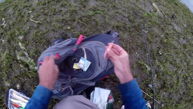 Striper and Zombie Bluefish Fishing Jersey Sodbanks