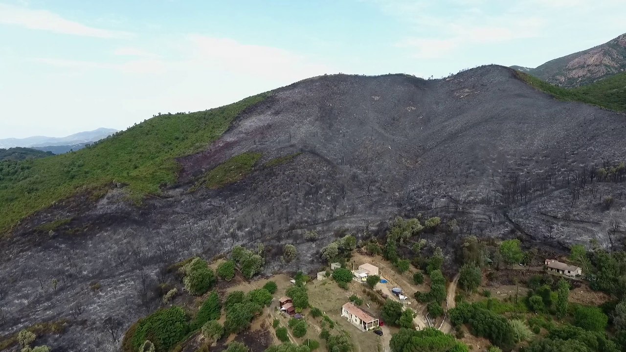 Paysage de désolation après l'incendie de la Gravona