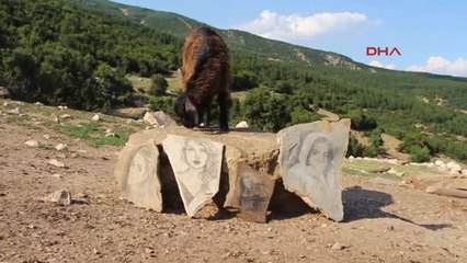 Burdur Resim Tutkusunu Doğaya Yansıttı