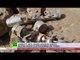 Saudi-led coalition drops banned UK-made cluster bombs on Yemen - Amnesty Intl