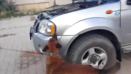 Lisa, Uyuşturucu Tacirlerine Geçit Vermedi