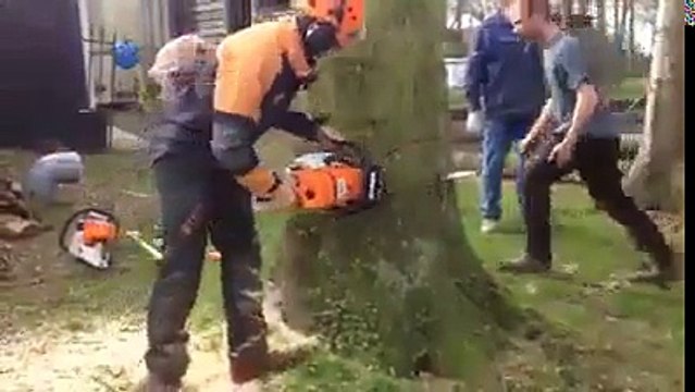 Nunca viste ninguem cortar uma arvore assim