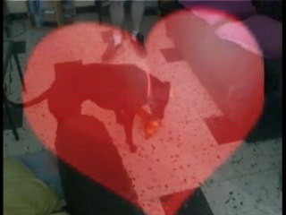 NoNos de Melle Akira