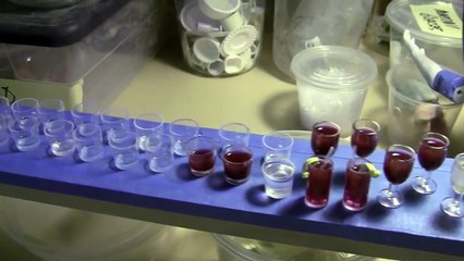 Anomalisa - Crafting Stop Motion