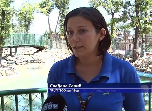 Životinjama u Zoo vrtu smetaju velike vućine, 9. jul 2017. (RTV Bor)
