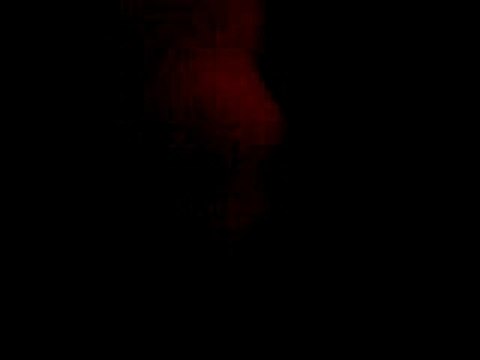 Anniv kékétte + permis 142