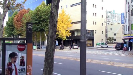 Reviews car - Car Culture In Korea