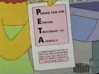 Animal Liberation Now !