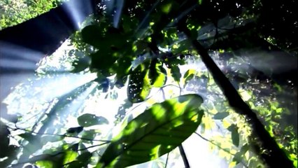 'Medicine Chant' (432Hz) - Anilah