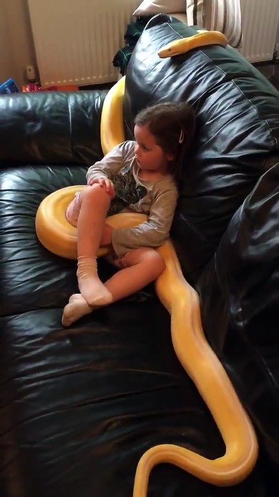 SHOCKING Watch this kid with a snake, you will not believe what is happening!