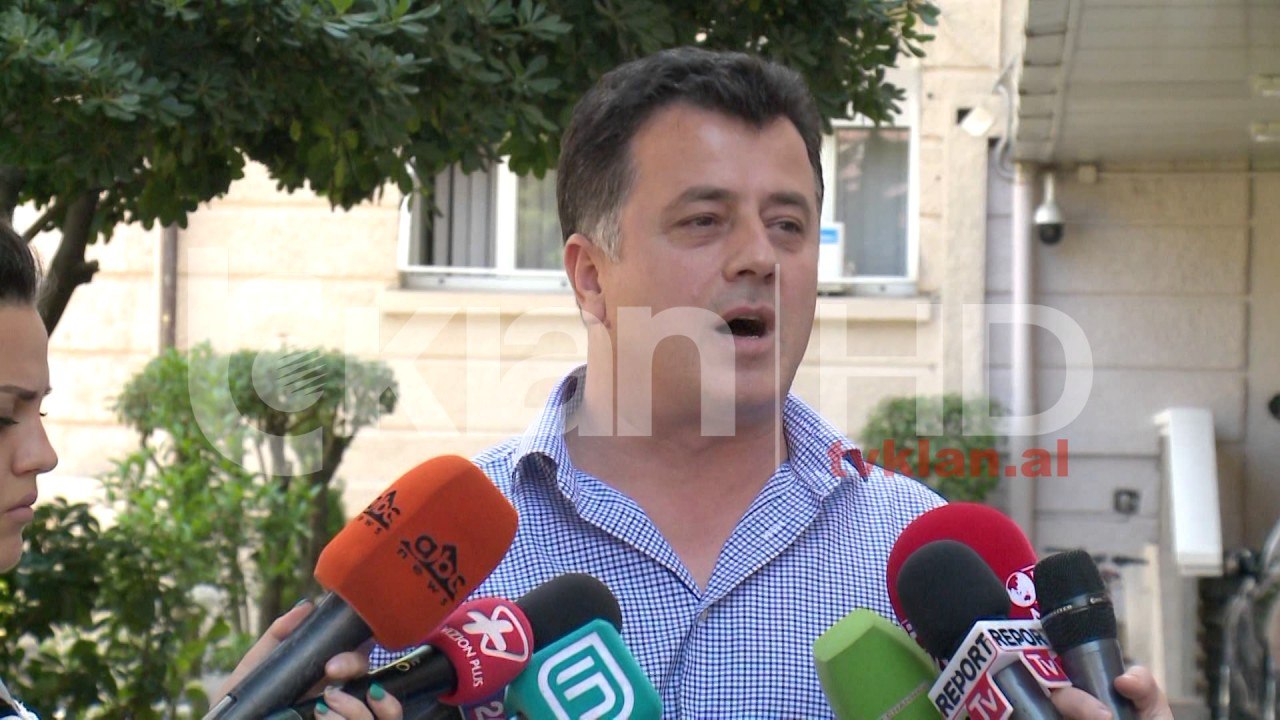 PD – LSI, një qëndrim për ONM