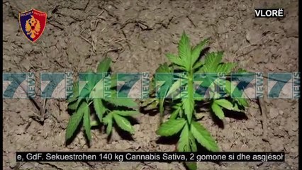 Descargar video: OPERACION ANTIDROGE NE JUG TE VENDIT, SEKUESTROHEN 2 GOMONE - News, Lajme - Kanali 7