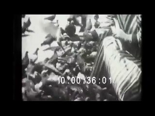 Venezia in the 1920s 🏞️