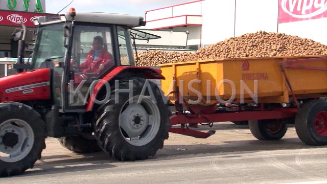 Hoti e Bajrami reagojnë për çmimin referent të patates së Kosovës nga Shqipëria