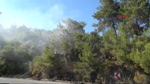 Alanya Orman Yangını Büyümeden Önlendi