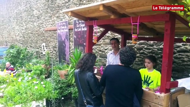 Brest. Rue de Saint-Malo : quel beau dimanche !