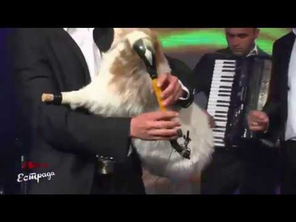 Devojce belo crveno -  Grupa Milenium Bitola ( live )