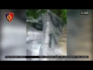 Ora News – Sekuestrohet gomonia me 685 kg drogë pranë lumit Vjosë