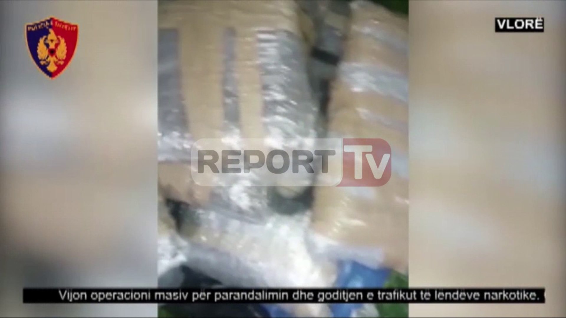⁣Report TV - Vlorë,gjendet e fshehur në pyll gomonia me 685 kg kanabis