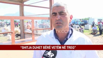 SHITJA E KAFSHËVE NË RRUGË, “PO RREZIKOHEN QYTETARËT”