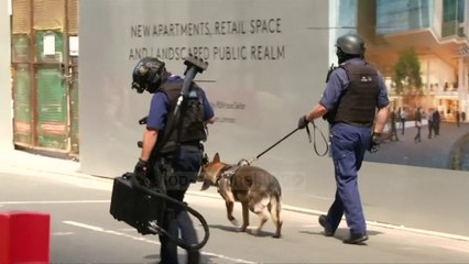 Valë arrestimesh në Londër - Top Channel Albania - News - Lajme