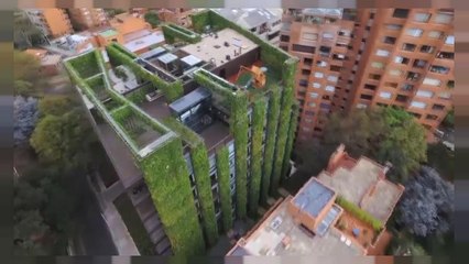 Schlechte Luft: Vertikaler Garten erfrischt Bogotá