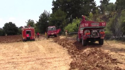 Bayramiç'te Orman Yangını