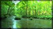 Yeşil Göl manzarası ve sesi - Doğa sesleri