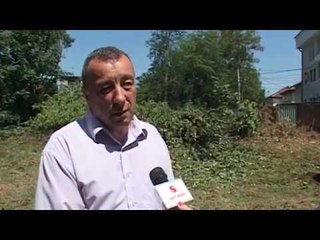 Në oborrin e spitalit në Gjakovë prehen drunjët që ishin rrezik për objektet dhe banorët - Lajme