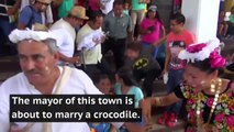 Mexican mayor marries crocodile bride