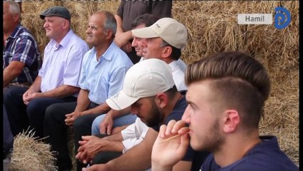 Edicioni i lajmeve i orës 20:00, 13 qershor 2017 - Ora News