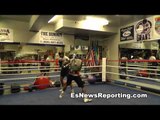 most feared man in boxing gennady golovkin sparring