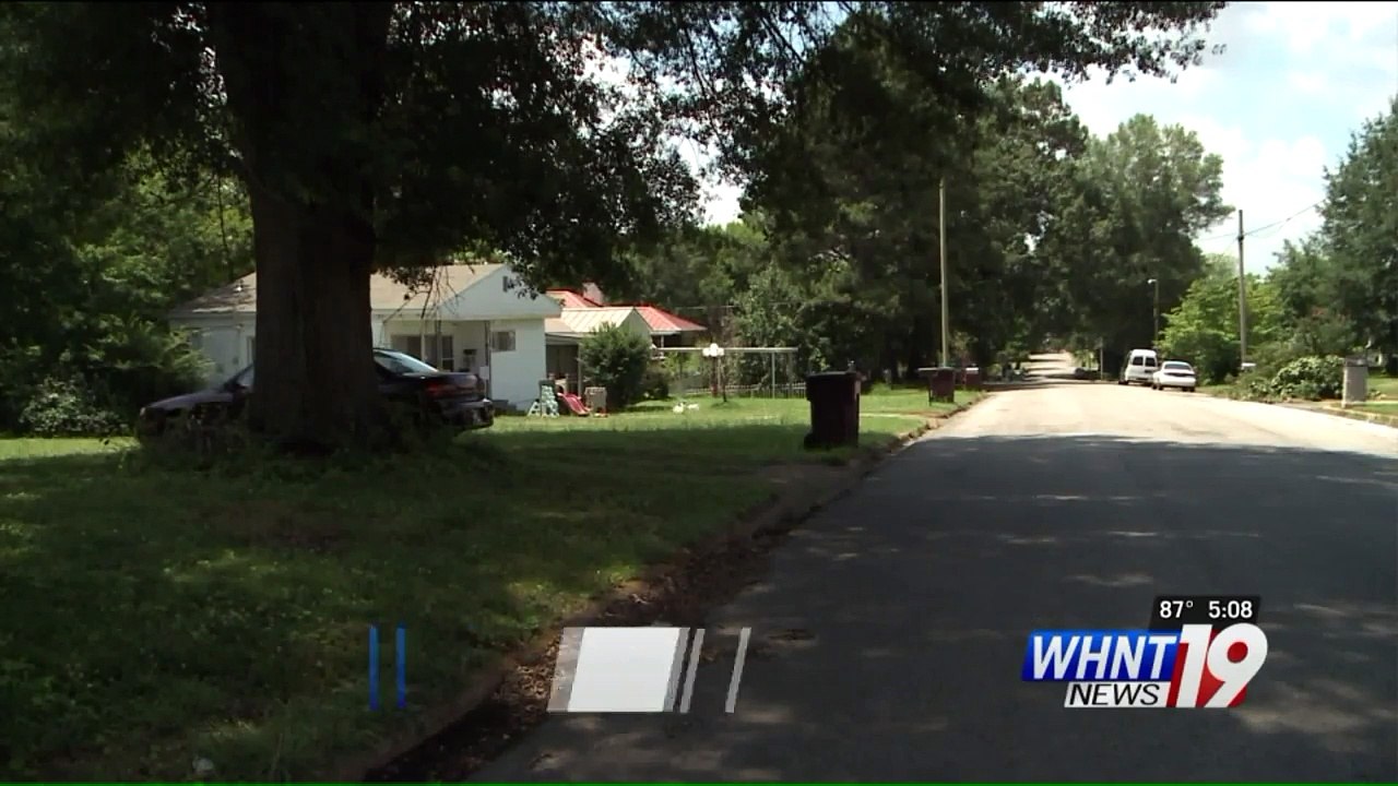 Rabbit Survives Being Shot With Hunting Bow, Authorities Searching For Shooter