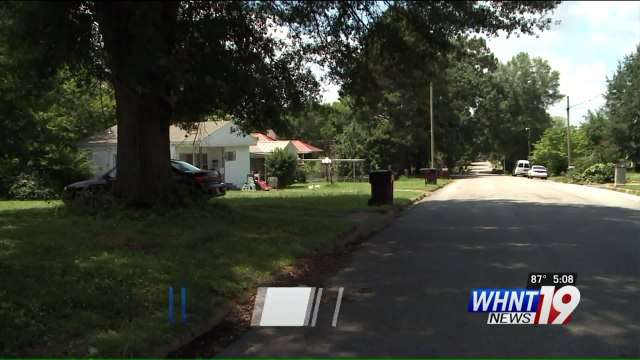 Rabbit Survives Being Shot With Hunting Bow, Authorities Searching For Shooter