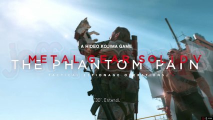 STEALTHY SNAKE - Metal Gear Solid V (On Crack)