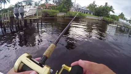 GIANT Trevally in Florida