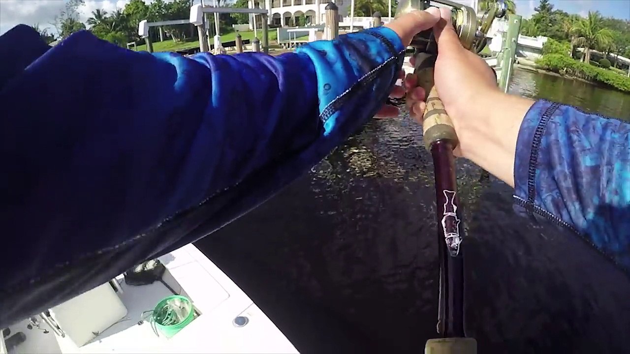 Sight Casting Giants with Live Mullet