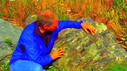 Ring of Fire (Earth Science)