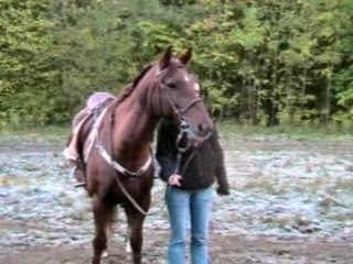 Kiki patiente pendant la reco avec Emilie