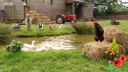 Big Barn Farm - S1E19  What's Up Ducks-