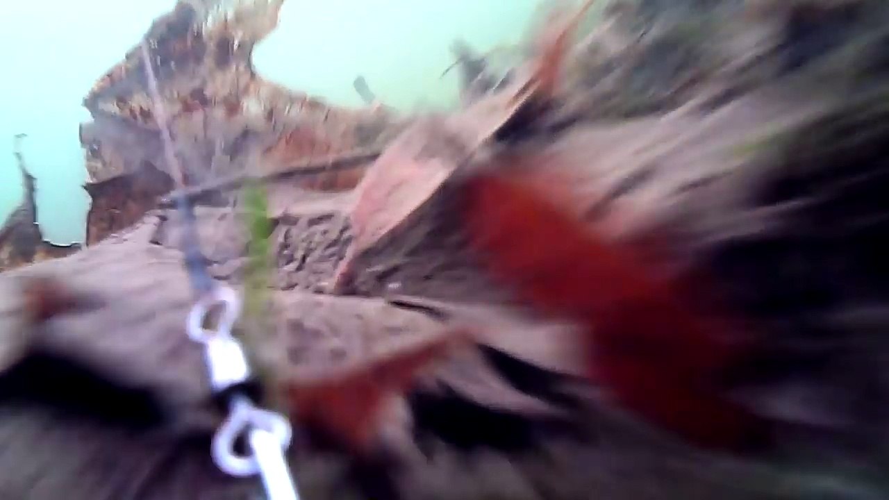 AMAZING FOOTAGE Pike Taking bait Under Water!