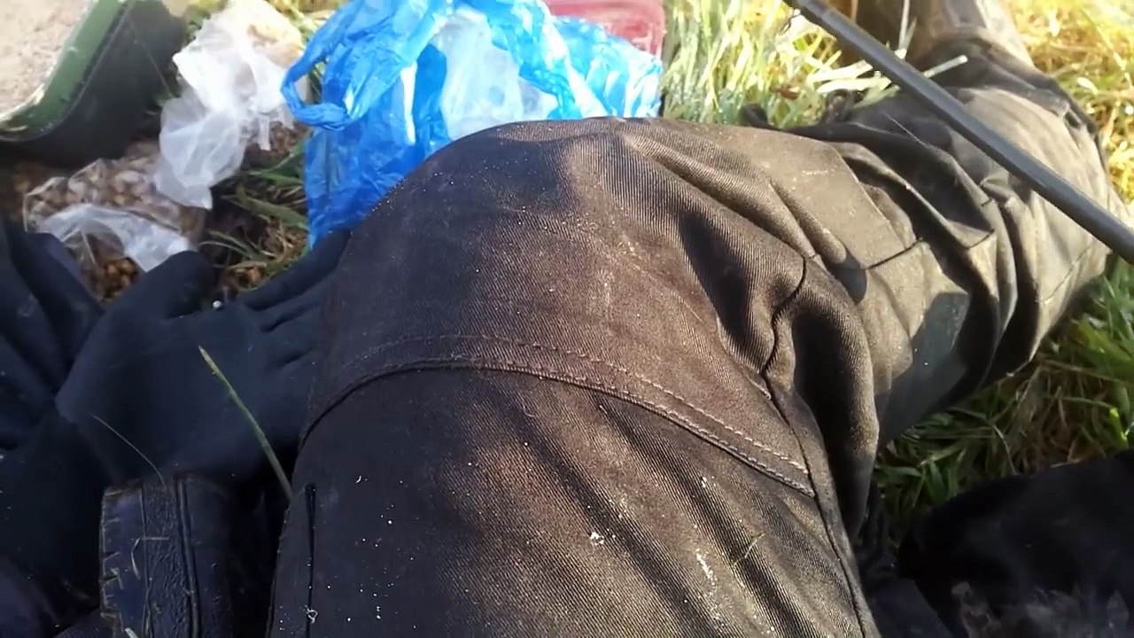 BIG URBAN PERCH! Barbel and Chub! Winter Maggot Fishing